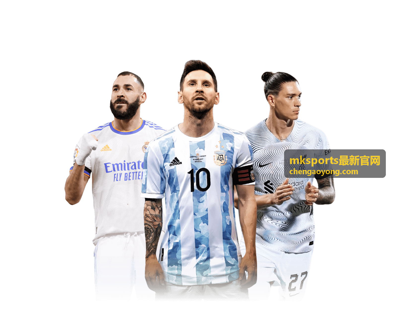 mksports 运动百科服务
